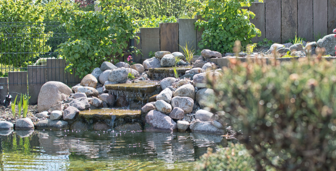 Teichbau und Teichanlage